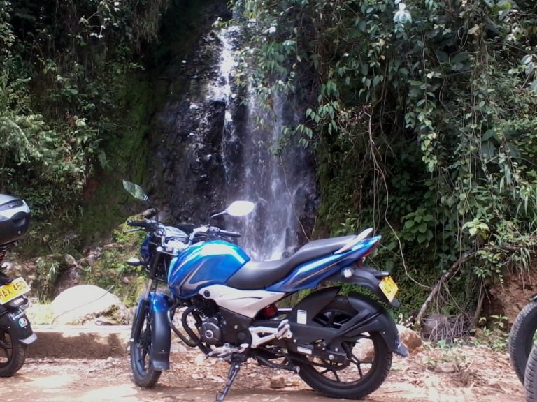 Aleja